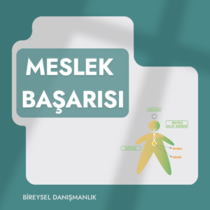 Meslek Başarısı